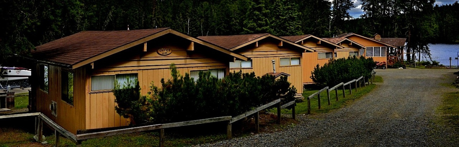 Forfaits de pêche au doré — KaBeeLo Lodge Inc. – KaBeeLo Lodge Inc.